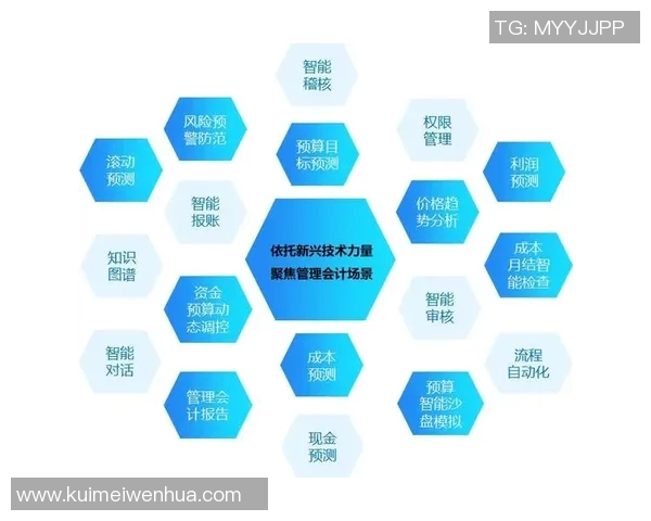 会计在现代企业管理中的核心作用与发展趋势分析